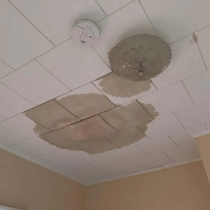 Ceiling Water Damage Repair in Renville County, ND