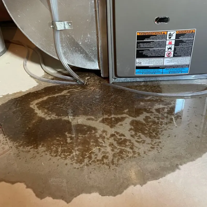 Pipe Burst and Leak Restoration in Renville County, ND