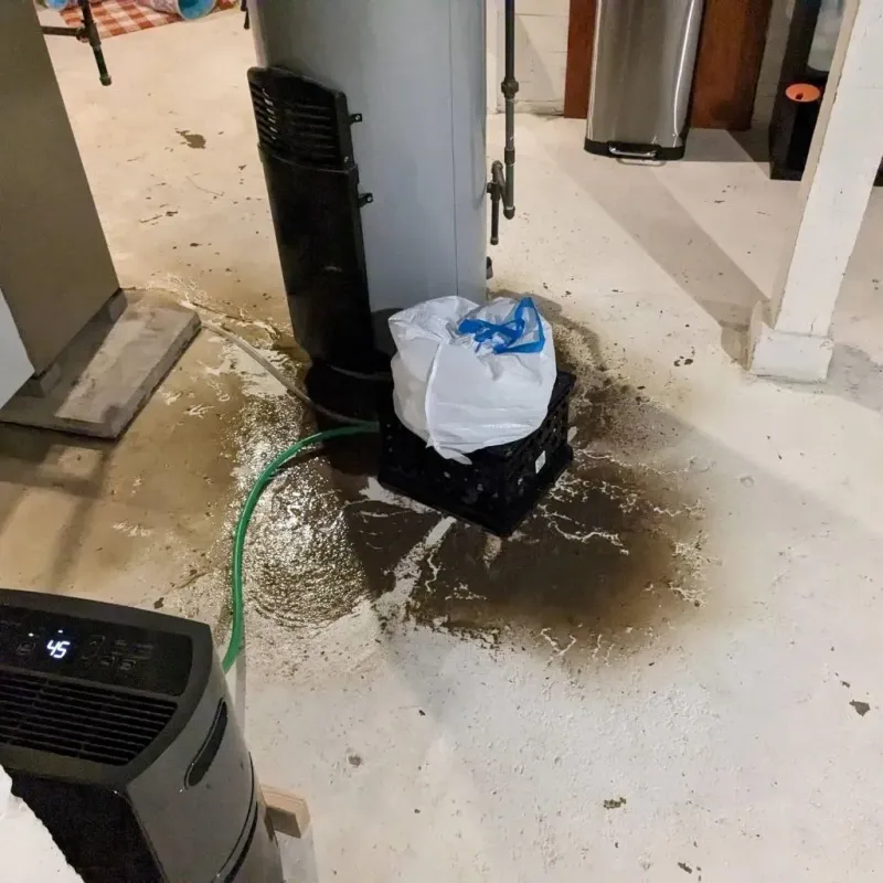 Sewage Backup Cleanup Service in Renville County, ND